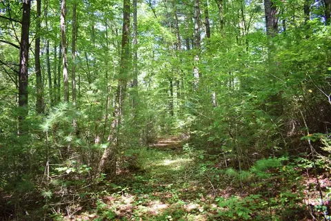 0 Never Blue Rd, Flat Rock, NC 28731 photo 12