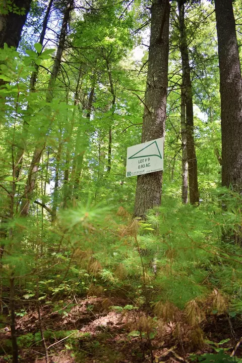 0 Never Blue Rd, Flat Rock, NC 28731 photo 2