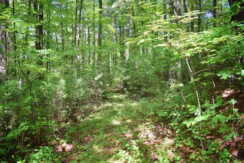 0 Never Blue Rd, Flat Rock, NC 28731 photo 9