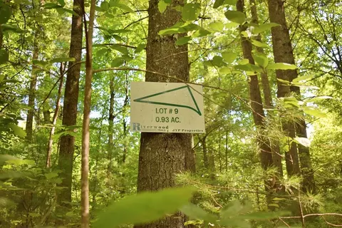 0 Never Blue Rd, Flat Rock, NC 28731 photo 15