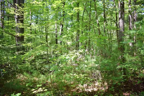 0 Never Blue Rd, Flat Rock, NC 28731 photo 10