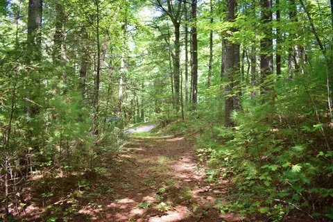 0 Never Blue Rd, Flat Rock, NC 28731 photo 6