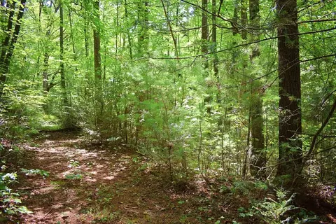 0 Never Blue Rd, Flat Rock, NC 28731 photo 4