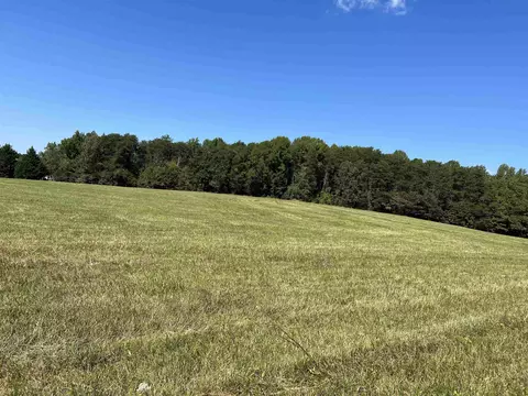 tbd New Cut Rd, Campobello, SC 29322 photo 9
