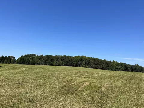 tbd New Cut Rd, Campobello, SC 29322 photo 4