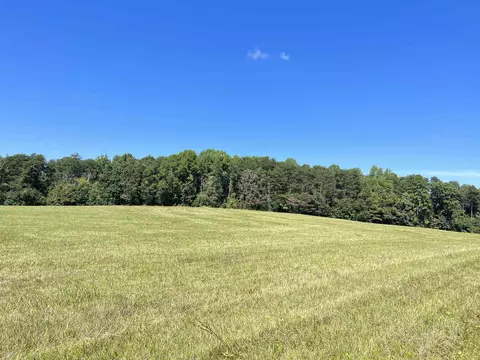 tbd New Cut Rd, Campobello, SC 29322 photo 8