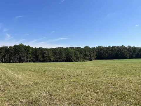 tbd New Cut Rd, Campobello, SC 29322 photo 16