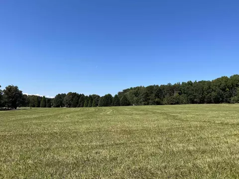 tbd New Cut Rd, Campobello, SC 29322 photo 5