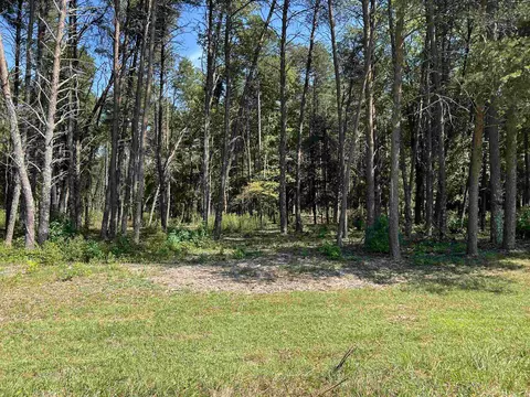 tbd New Cut Rd, Campobello, SC 29322 photo 20
