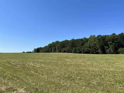tbd New Cut Rd, Campobello, SC 29322 photo 15