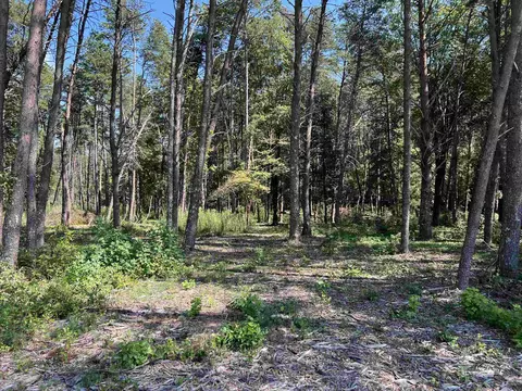 tbd New Cut Rd, Campobello, SC 29322 photo 21