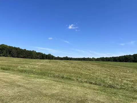 tbd New Cut Rd, Campobello, SC 29322 photo 2