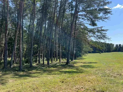 tbd New Cut Rd, Campobello, SC 29322 photo 19