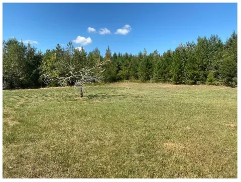 455 Williams Rd, Clinton, SC 29325 photo 4
