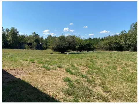 455 Williams Rd, Clinton, SC 29325 photo 2