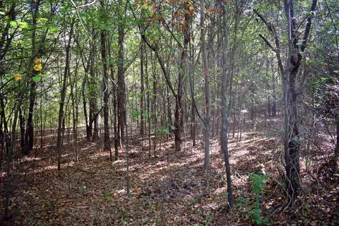 164 Cooper Rd, Campobello, SC 29322 photo 21