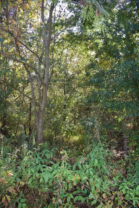 164 Cooper Rd, Campobello, SC 29322 photo 17