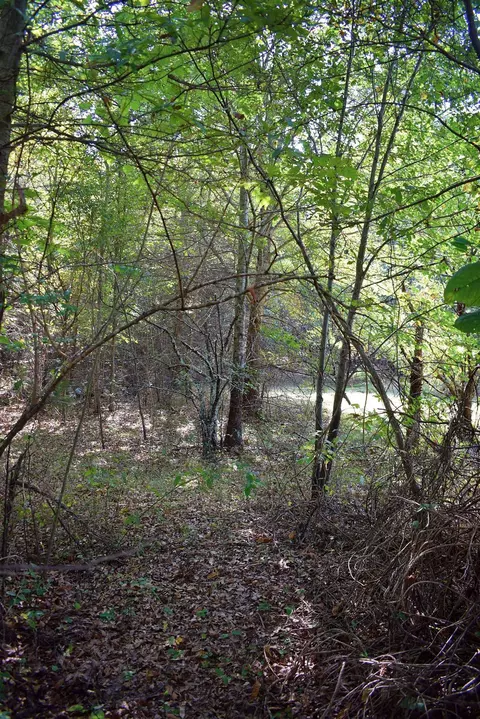 164 Cooper Rd, Campobello, SC 29322 photo 24