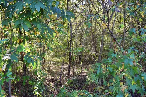 164 Cooper Rd, Campobello, SC 29322 photo 14