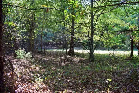 164 Cooper Rd, Campobello, SC 29322 photo 23