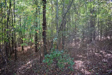 164 Cooper Rd, Campobello, SC 29322 photo 19