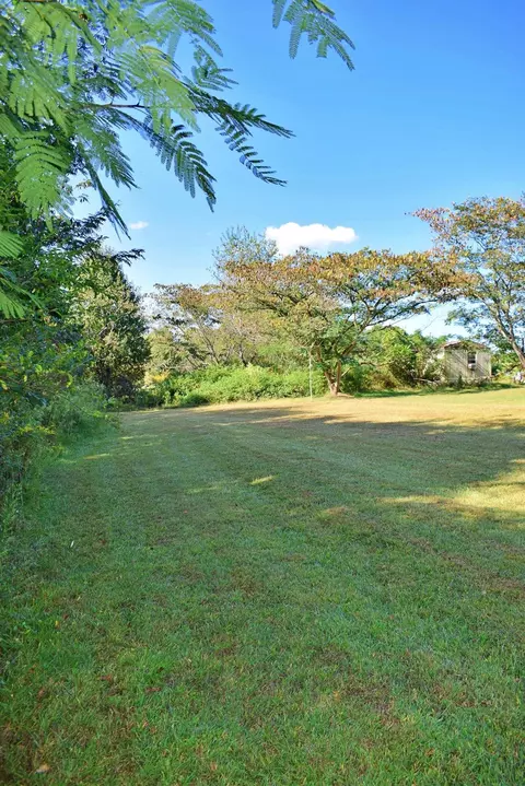 164 Cooper Rd, Campobello, SC 29322 photo 12