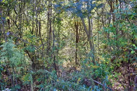 164 Cooper Rd, Campobello, SC 29322 photo 15