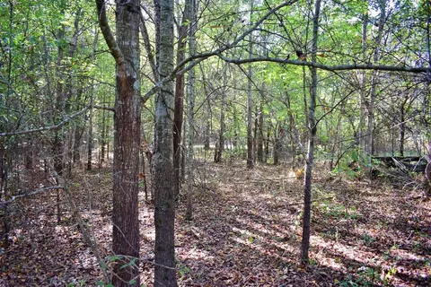 164 Cooper Rd, Campobello, SC 29322 photo 20