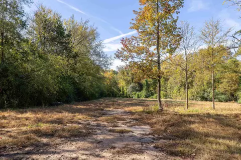 5307 Highway 252 Hwy, Ware Shoals, SC 29692 photo 8