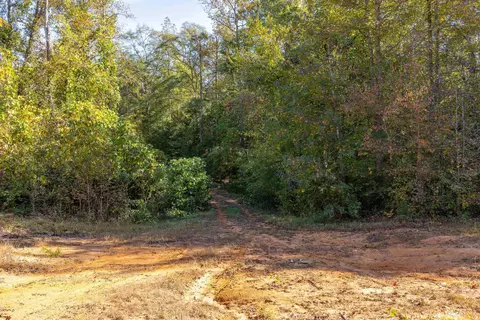 5307 Highway 252 Hwy, Ware Shoals, SC 29692 photo 19