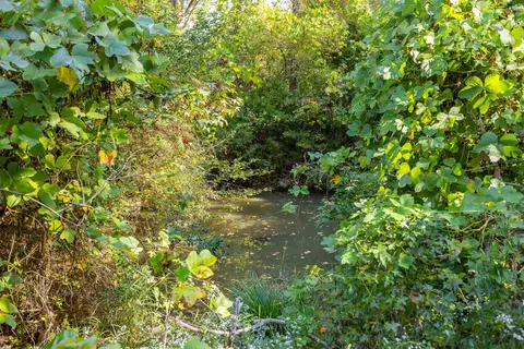 5307 Highway 252 Hwy, Ware Shoals, SC 29692 photo 20