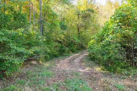 5307 Highway 252 Hwy, Ware Shoals, SC 29692 photo 13