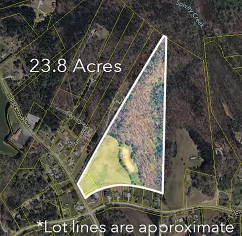 1035 S Blackstock Rd, Landrum, SC 29356