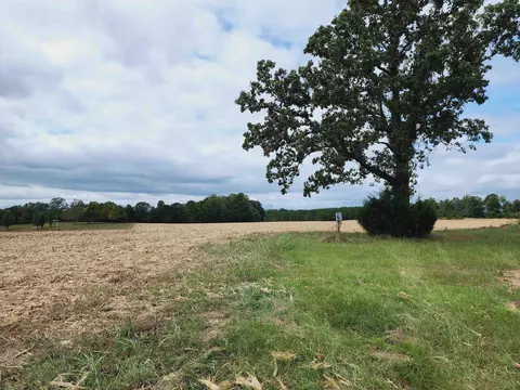 1021 Rabbit Moffitt Rd, Chesnee, SC 29323