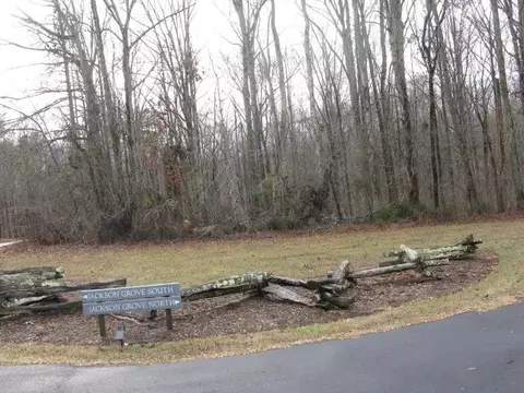 6 Jackson Grv S, Landrum, SC 29356