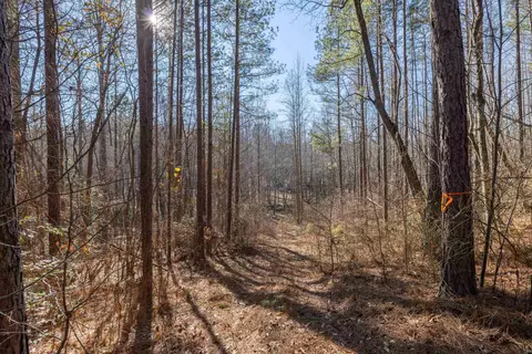 00 Howe Rd, Greer, SC 29651 photo 21