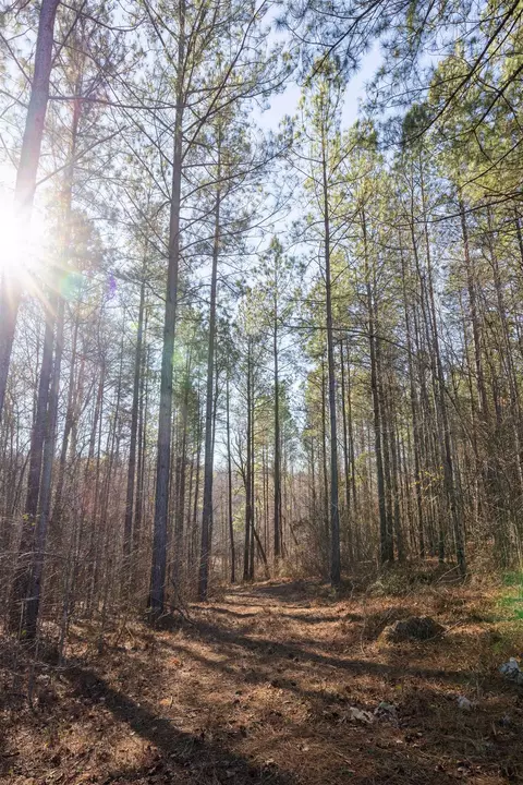 00 Howe Rd, Greer, SC 29651 photo 22
