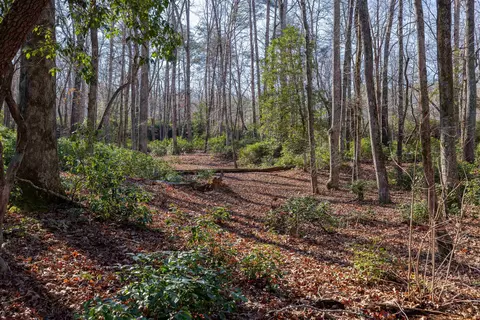 00 Howe Rd, Greer, SC 29651 photo 12