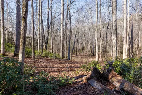 00 Howe Rd, Greer, SC 29651 photo 11