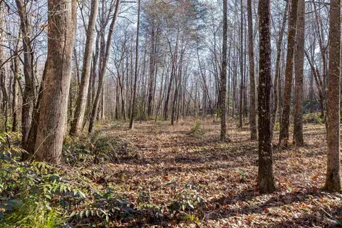 00 Howe Rd, Greer, SC 29651 photo 15
