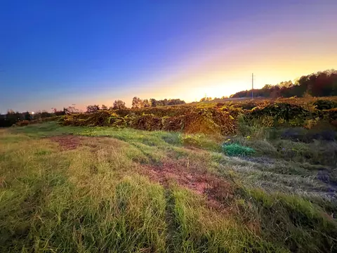 1550 Compton Bridge Rd, Inman, SC 29349 photo 6