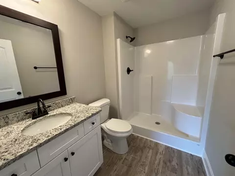 Bath - 151 Worthmore Dr, Gaffney, SC 29340 photo 3 of 3