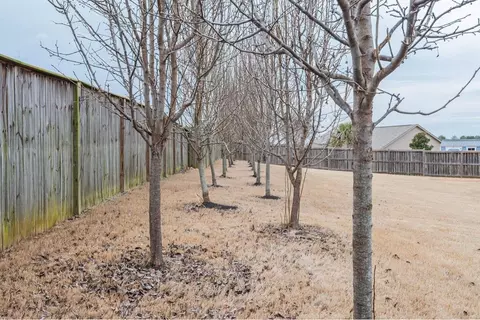910 Deephallow Pl, Greer, SC 29651 photo 38