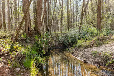 0 Howe Rd #LOT B, Greer, SC 29651 photo 20