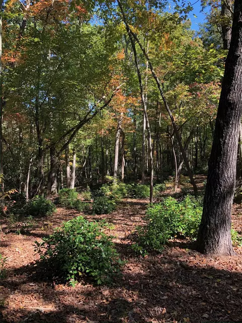 0 Howe Rd #LOT B, Greer, SC 29651 photo 12