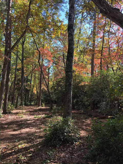 0 Howe Rd #LOT B, Greer, SC 29651 photo 15