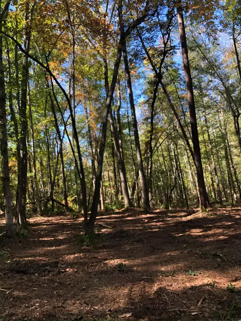 0 Howe Rd #LOT B, Greer, SC 29651 photo 13