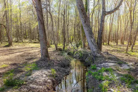 0 Howe Rd #LOT B, Greer, SC 29651 photo 23