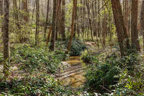 0 Howe Rd #LOT B, Greer, SC 29651 photo 18