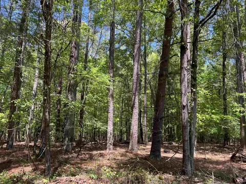 271 Cedar Canyon Dr, Spartanburg, SC 29307